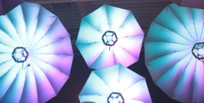 Schnell aufgebaut, sehr effektiv: Lichtschirme (hier von Steinigke/Eurolite) sind für viele Bühnenanwendungen denkbar. Foto: Starmühler