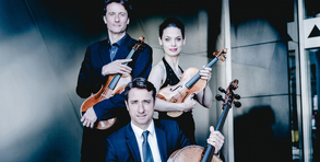 Das Kreislertrio Wien spielt beim Haydn-Konzertzyklus auf. Foto: Andrej Grilc